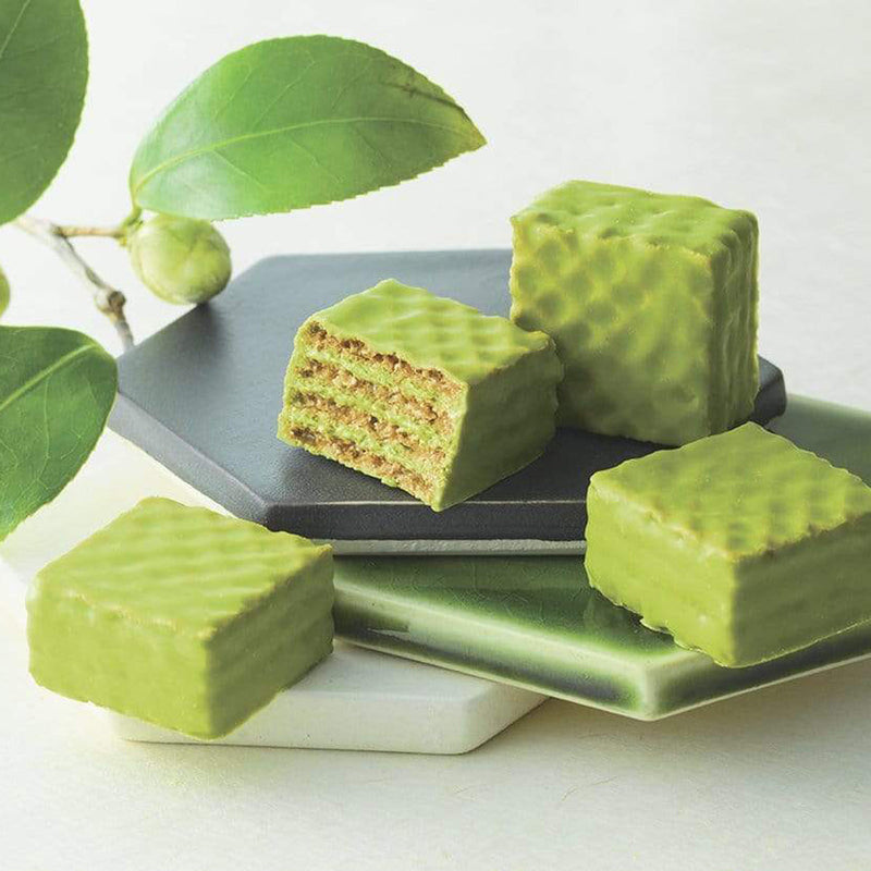 ROYCE' Chocolate - Chocolate Wafers Matcha - Image shows green chocolate wafers on white, green, and black plates. Accents include green leaves. Background is in white.