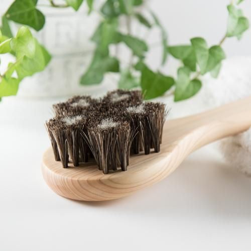 Asakusa Art Brush Sakura Adam Horsehair Body Brush