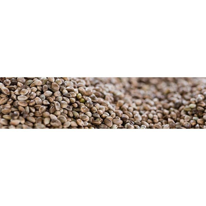 Yawataya Isogoro Shichimi Togarashi Seasoning Can 14g